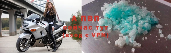 твердый Ростов