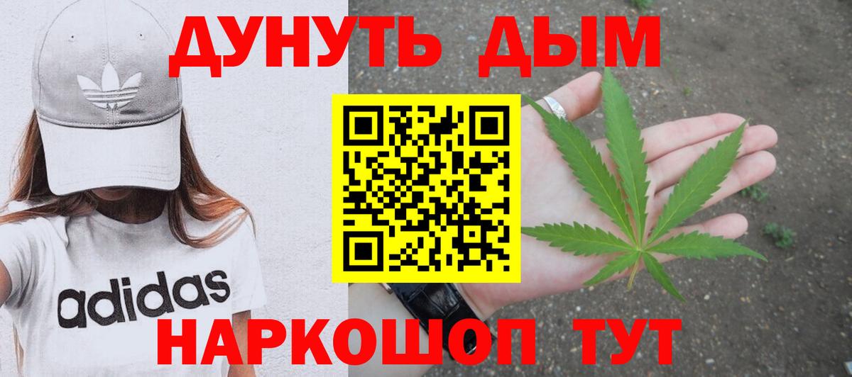 Канабис сатива Светлоград